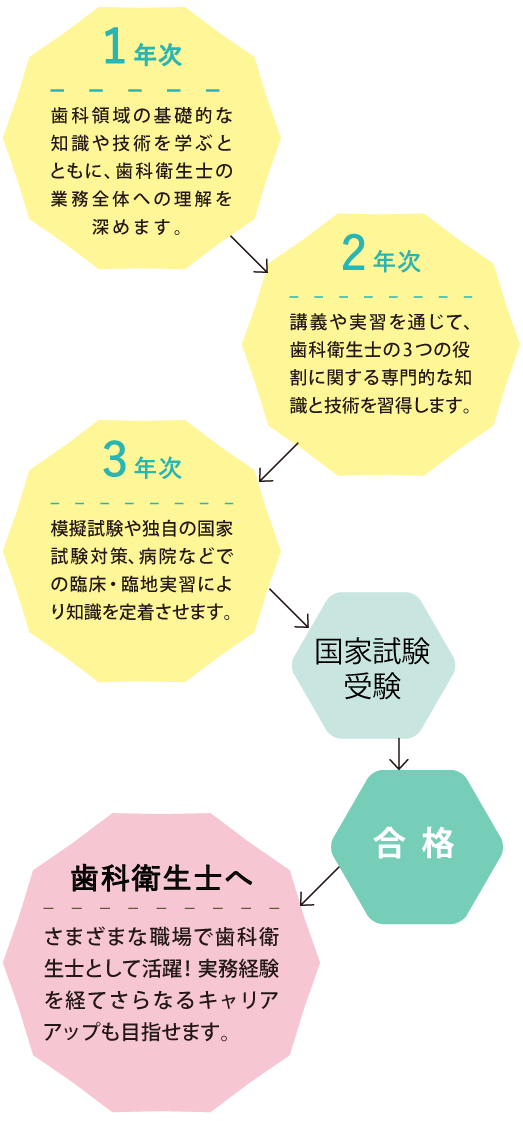 国家試験取得へのフロー