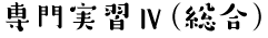 専門実習Ⅳ(総合)