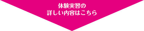 体験実習の詳しい内容はこちら