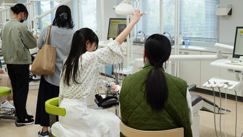 歯の置物たち