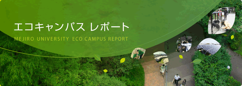 エコキャンパスレポート
