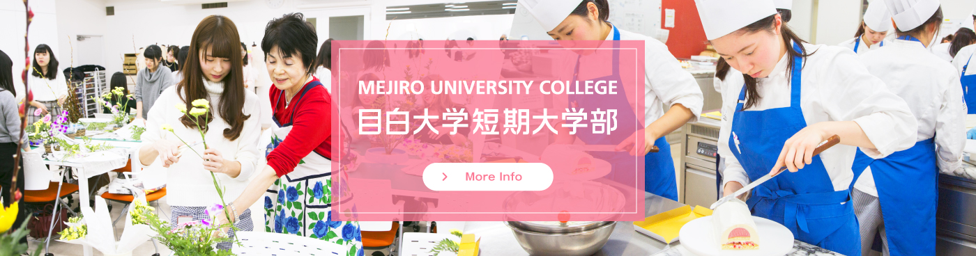 Mejiro University College