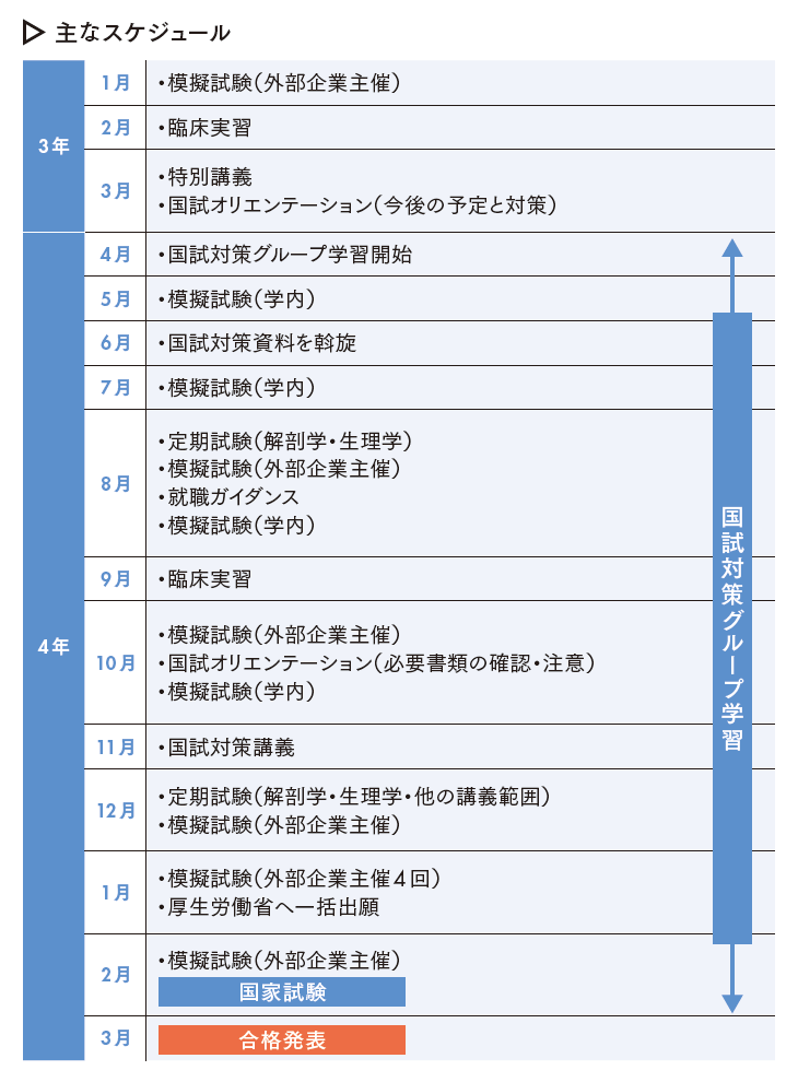 主なスケジュール