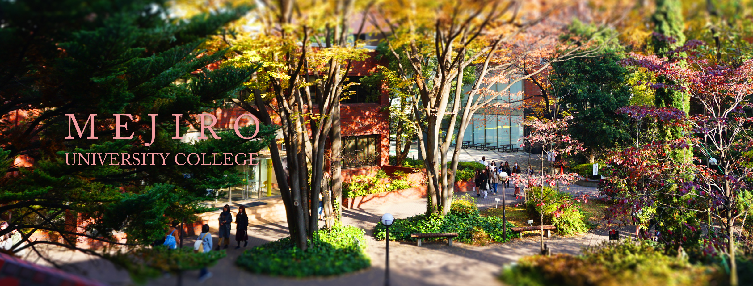 MEJIRO UNIVERSITY COLLEGE