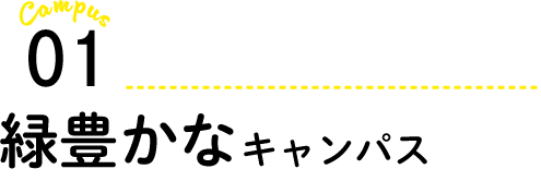 緑豊かなキャンパス