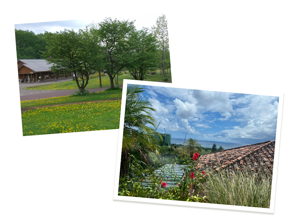 研修地イメージ