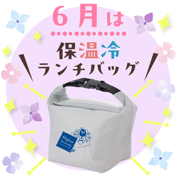 保温冷ランチバッグ