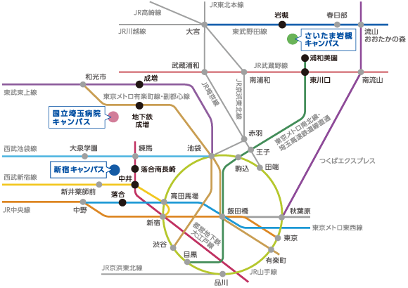 アクセス 目白学園