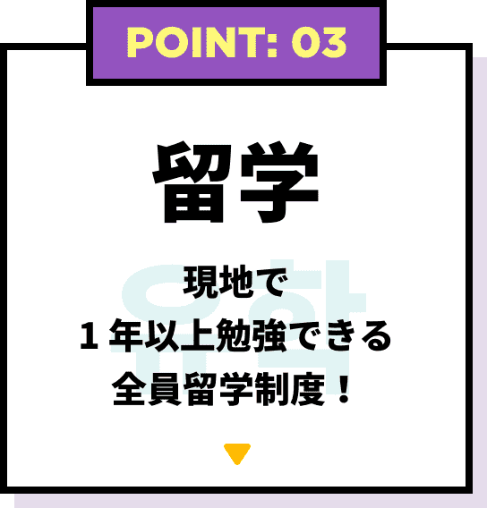POINT: 03 留学 現地で1年以上勉強できる 全員留学制度!