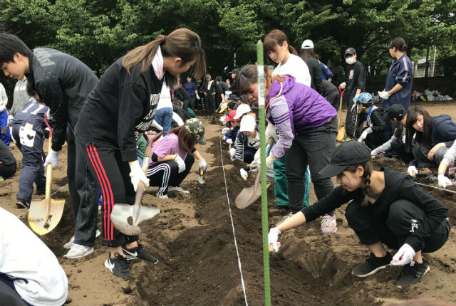 子ども学科の学生は岩槻キャンパスの畑で、3年性の指導のもと、芋の苗付けのための畝を作りました
