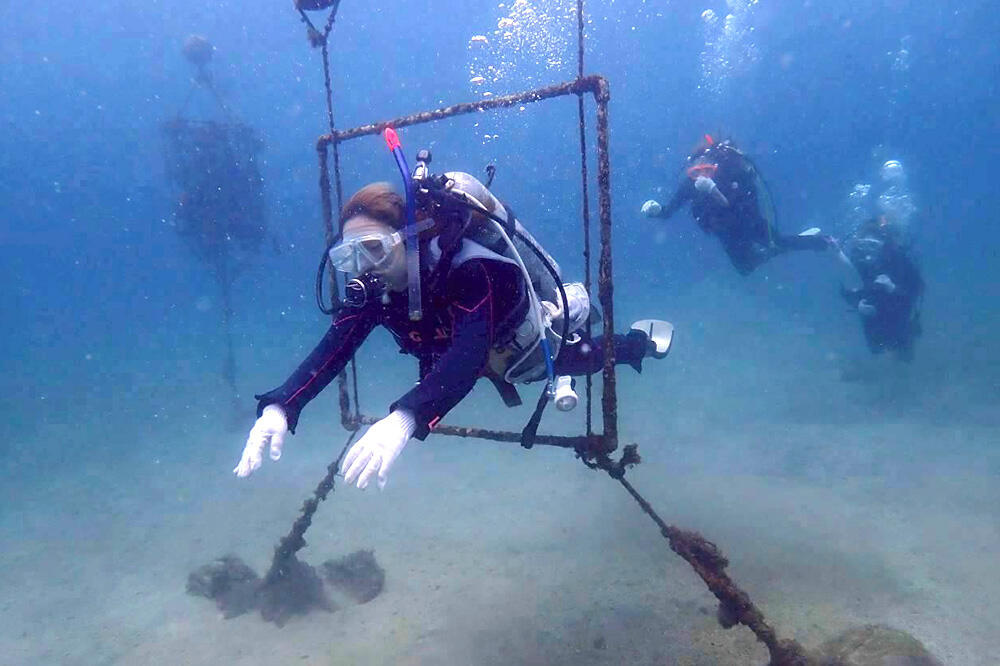 障害物を上手にくぐれるかな