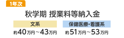 1年次秋学期：文系：約40～43万円、保健医療・看護系：約51～63万円