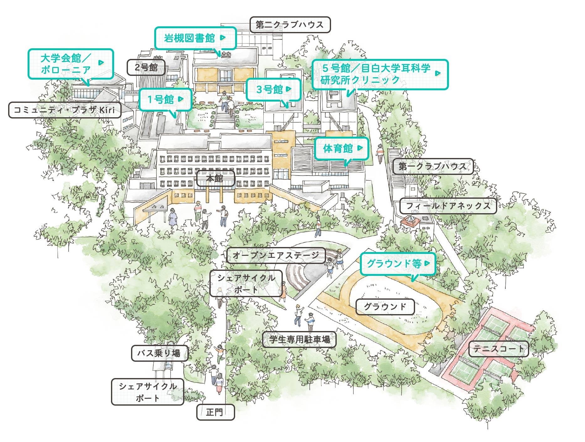 キャンパスマップ さいたま岩槻 目白大学 受験生応援サイト