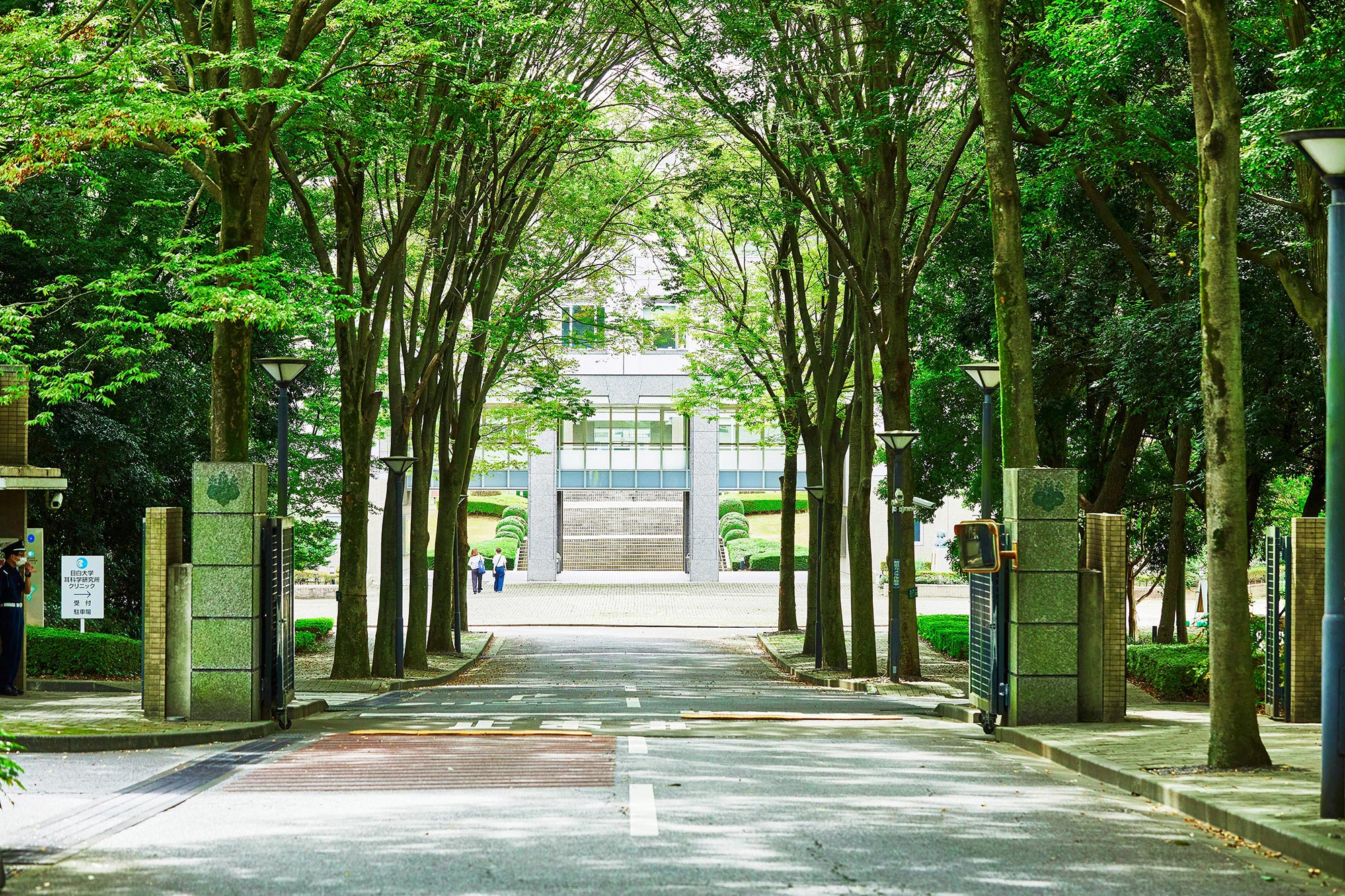 目白大学の大学風景