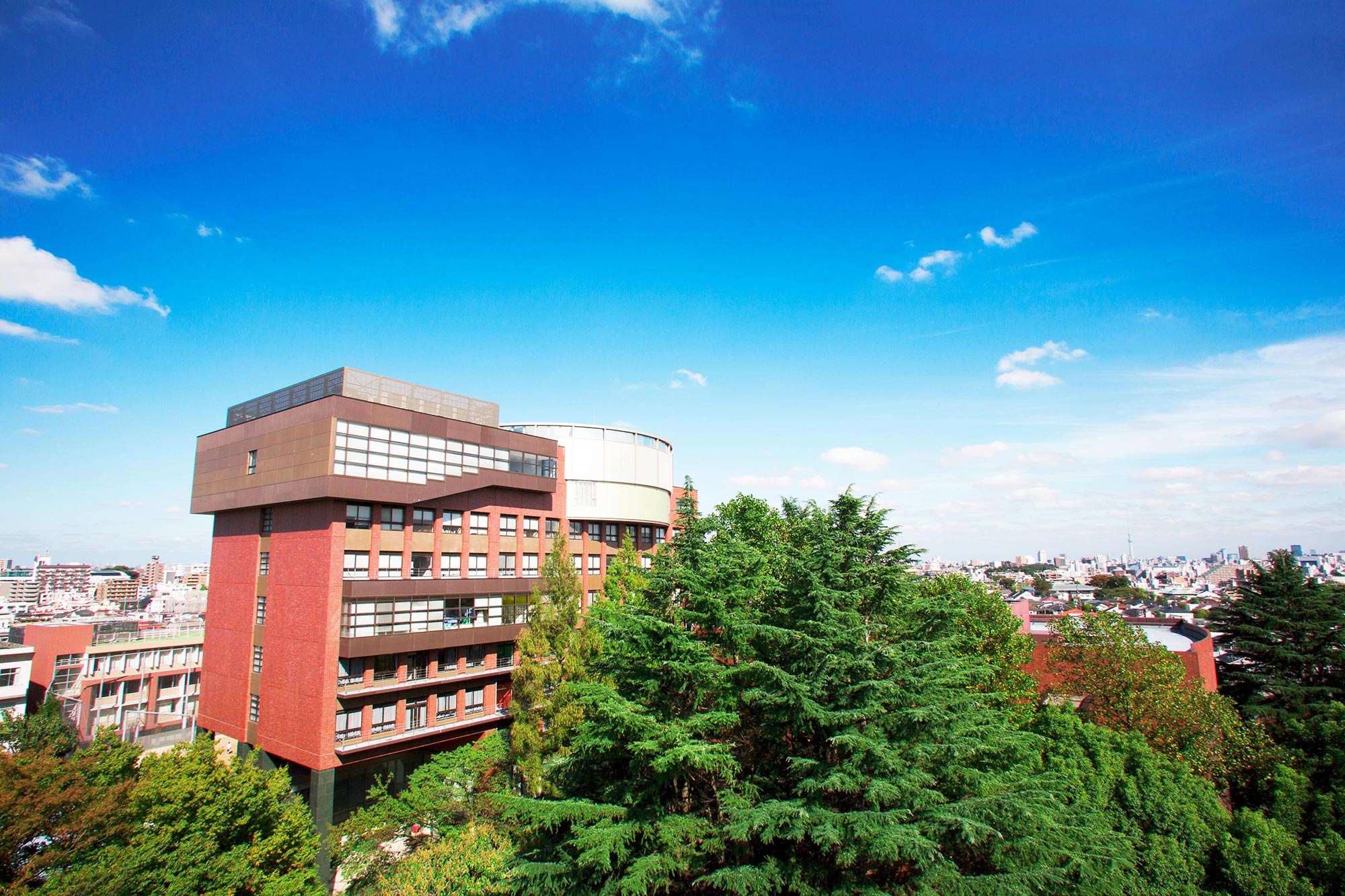 目白大学の大学風景
